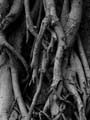 images/art/02.jpg