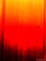 images/art/16.jpg