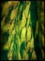 images/art/18.jpg