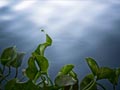 images/nature/01.jpg