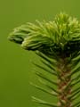 images/nature/02.jpg