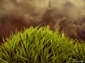images/nature/03.jpg