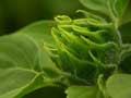 images/nature/04.jpg