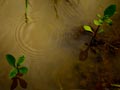 images/nature/05.jpg