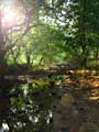 images/nature/06.jpg