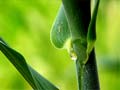 images/nature/07.jpg