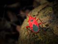 images/nature/08.jpg