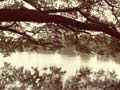 images/nature/10.jpg