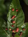 images/nature/12.jpg