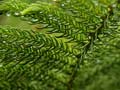 images/nature/13.jpg