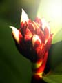 images/nature/14.jpg