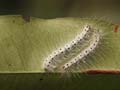 images/nature/15.jpg