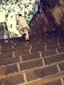 images/street/12.jpg