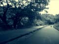 images/street/17.jpg