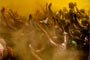 Devotees getting drenched in color at Shri Baanke Bihari