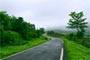 The mention of India is always incomplete, without mentioning the beauty of its beautiful natural landscapes.
