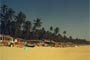 Surrounded by Arabian Sea, India does host such colorful beaches in large number!