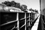 Industrial locomotives can be spotted all around...